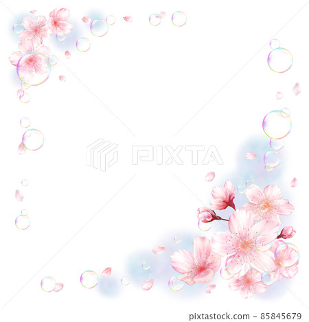 Sakura soap bubbles blue background (square) Sakura soap bubbles blue background (square) 85845679