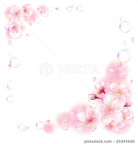 Sakura soap bubbles pink background (square) Sakura soap bubbles pink background (square) 85845680