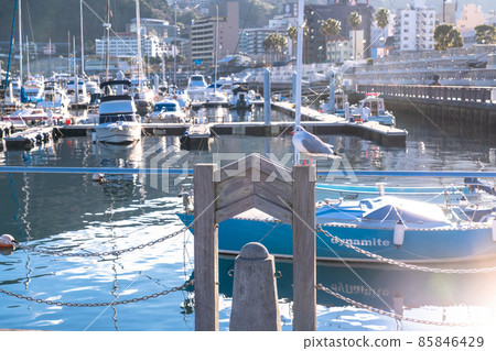 《Shizuoka Prefecture》 Atami Marina Resort Scenery 85846429