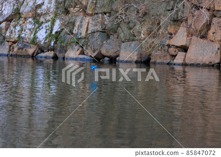 A small kingfisher flying over the water 85847072