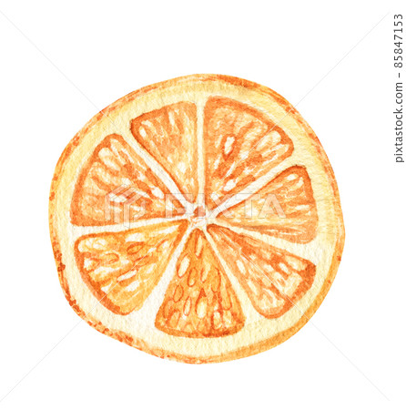 Watercolor orange fruit. Hand drawn Isolated on white. Ideal for food packaging design, postcards, paper, packaging, fabric, decoration, design. Watercolor orange fruit. Hand drawn Isolated on white. Ideal for food packaging design, postcards, paper, packaging, fabric, decoration, design. 85847153
