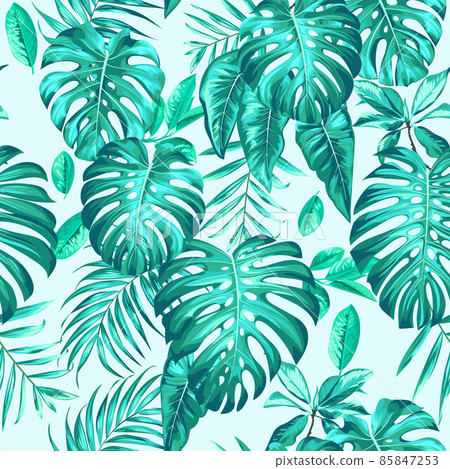 Rainforest summer print with palm and monstera leaves Rainforest summer print with palm and monstera leaves 85847253