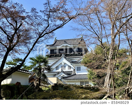 岡崎城樓在藍天的襯托下熠熠生輝【岡崎城公園/愛知縣岡崎市】 85848029