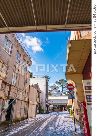Snow Ogaki Castle <Ogaki City, Gifu Prefecture> 85849160