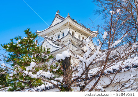 雪大垣城<岐阜縣大垣市> 雪大垣城<岐阜縣大垣市> 85849581