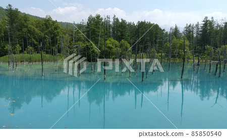 Really blue pond 85850540