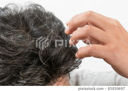The head of a middle-aged man with gray hair The head of a middle-aged man with gray hair 85850697
