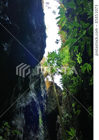 South Daito Island Bali Bali Rock 85851073