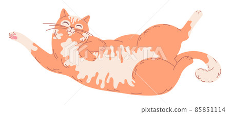 Satisfied ginger cat lies on his back upside down Satisfied ginger cat lies on his back upside down 85851114