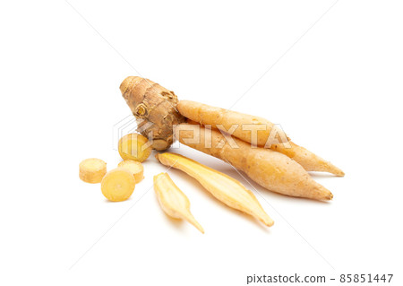 Kaempferia slice and finger root isolated on a white background Kaempferia slice and finger root isolated on a white background 85851447