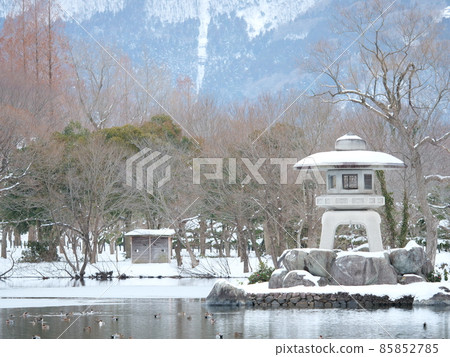Snow makeup of Mishima pond stone lantern Snow makeup of Mishima pond stone lantern 85852785