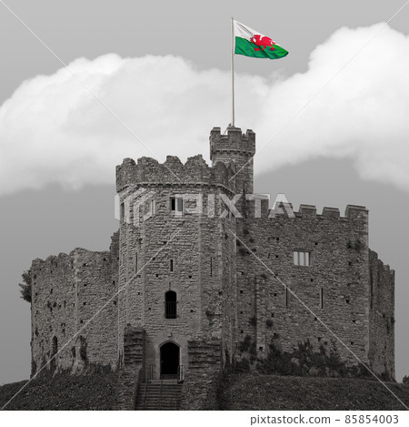 Cardiff castle in black and white 85854003