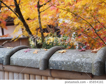 Beautiful maple leaves on the tiles 85854181