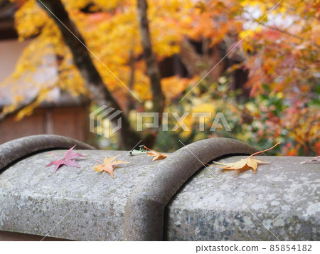 Beautiful maple leaves on the tiles 85854182