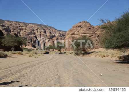 in the kingdom of saudi arabia 85854465
