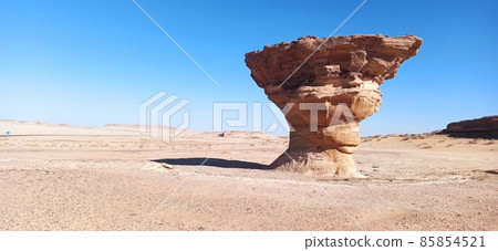 in the kingdom of saudi arabia 85854521