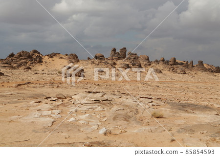 in the kingdom of saudi arabia 85854593