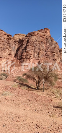 in the kingdom of saudi arabia in the kingdom of saudi arabia 85854716