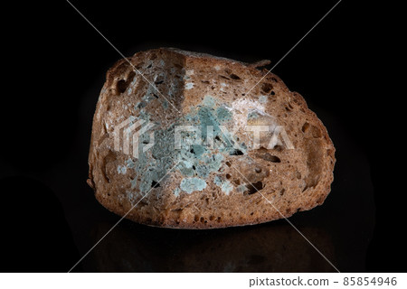 The old mold on the rye bread. Spoiled food The old mold on the rye bread. Spoiled food 85854946