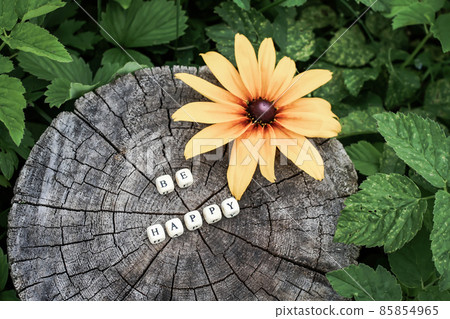 Word be happy of wooden alphabet beads on a tree stump surface in the forest. 85854965