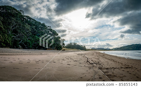 Thermal hot water spring pool in Hot Water beach in Mercury Bay on the east coast of the Coromandel Peninsula, New Zealand Thermal hot water spring pool in Hot Water beach in Mercury Bay on the east coast of the Coromandel Peninsula, New Zealand 85855143