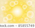 光 85855749