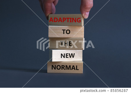 Adapting to the new normal symbol. Wooden blocks with words Adapting to the new normal on beautiful grey background, copy space. Businessman hand. Business, new normal concept. 85856287