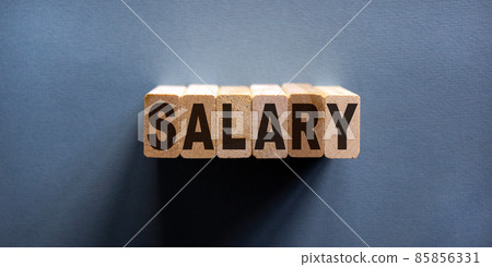 Wooden block form the word 'salary' on beautiful blue background. Wooden block form the word 'salary' on beautiful blue background. 85856331