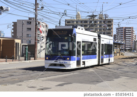從函館市十字街電車站出發的函館電車“Rakuru-go” 85856431