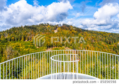 Colorful autumn forests of Tanvaldsky Spicak 85856598