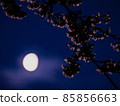 被月光照亮的櫻花 被月光照亮的櫻花 85856663