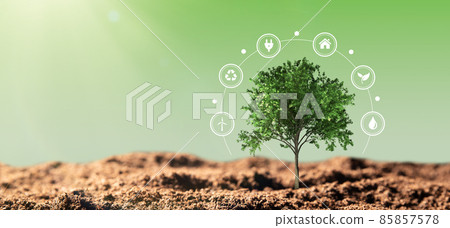 Renewable energy, ecology concept with tree Renewable energy, ecology concept with tree 85857578