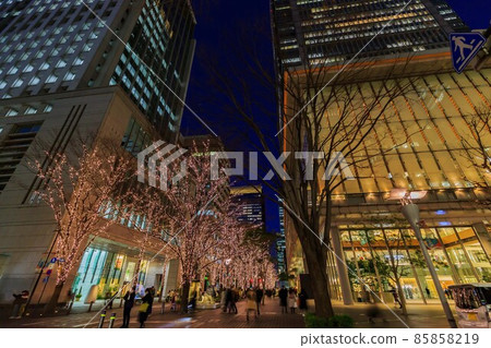 Tokyo Marunouchi Naka Dori Illuminations Tokyo Marunouchi Naka Dori Illuminations 85858219