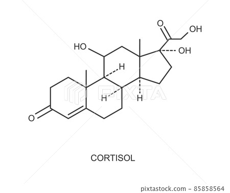 Cortisol hormone icon. Hydrocortisone chemical molecular structure isolated on white background. Vector outline illustration Cortisol hormone icon. Hydrocortisone chemical molecular structure isolated on white background. Vector outline illustration 85858564