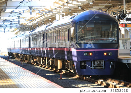 485系列“花” 85858918