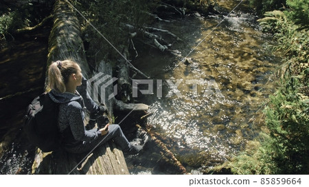 Traveler photographing scenic view in forest river. Wood bridge fallen tree. One caucasian woman shooting nice magic look. Girl take photo on camera. Traveler photographing scenic view in forest river. Wood bridge fallen tree. One caucasian woman shooting nice magic look. Girl take photo on camera. 85859664