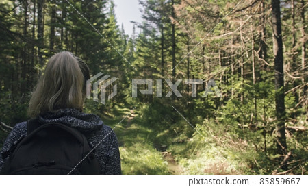 Traveler photographing scenic view in forest. One caucasian woman shooting nice magic look. Girl take photo video on dslr mirrorless camera. Traveler photographing scenic view in forest. One caucasian woman shooting nice magic look. Girl take photo video on dslr mirrorless camera. 85859667