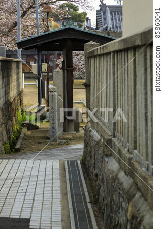 一隻貓從尾道觀光寺周圍狹窄的小路上爬上法堂寺的屋頂 一隻貓從尾道觀光寺周圍狹窄的小路上爬上法堂寺的屋頂 85860041