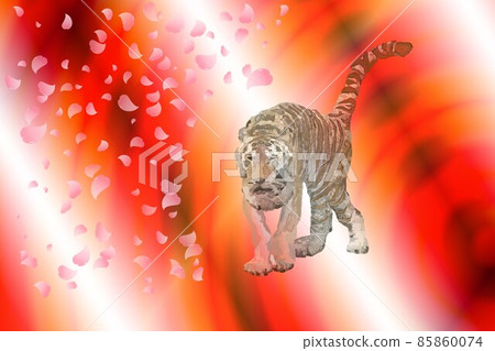 櫻花和老虎! !! 櫻花和老虎! !! 85860074