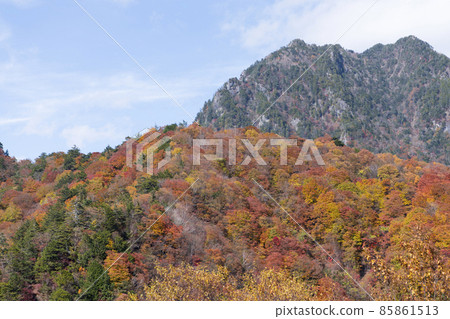 Autumn leaves in the Nishizawa Valley 85861513