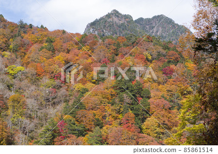 Autumn leaves in the Nishizawa Valley Autumn leaves in the Nishizawa Valley 85861514