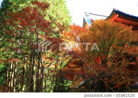 橫川本堂，延歷寺紅葉 85861520
