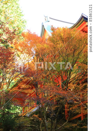 橫川本堂,延歷寺紅葉 橫川本堂,延歷寺紅葉 85861521