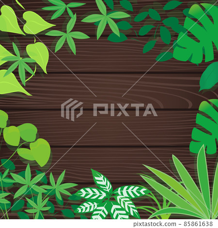 室內植物和深棕色留言板插圖 室內植物和深棕色留言板插圖 85861638