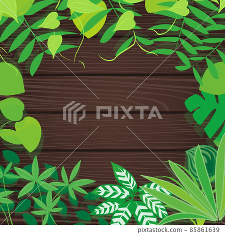 室內植物和深棕色留言板插圖 室內植物和深棕色留言板插圖 85861639
