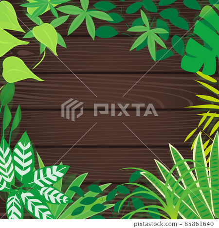 室內植物和深棕色留言板插圖 室內植物和深棕色留言板插圖 85861640