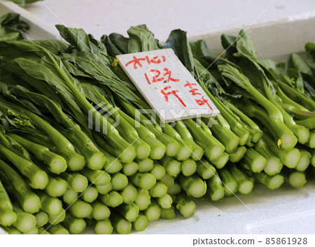 Chinese orchids sold in the Hong Kong market. The most popular and favorite Hong Kong vegetable Chinese orchids sold in the Hong Kong market. The most popular and favorite Hong Kong vegetable 85861928