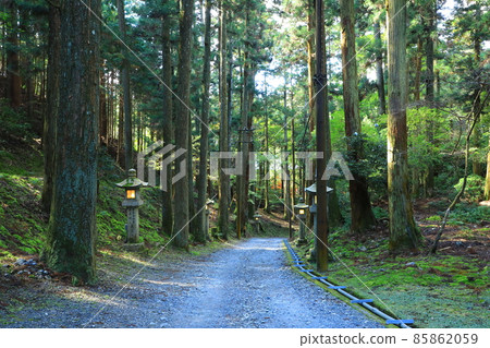 比叡山延歷寺 85862059