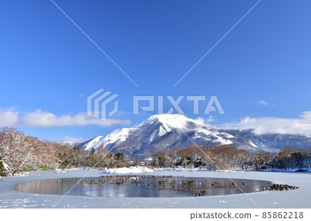 Snow Ibukiyama 85862218