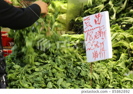 Chinese orchids sold in the Hong Kong market. The most popular and favorite Hong Kong vegetable Chinese orchids sold in the Hong Kong market. The most popular and favorite Hong Kong vegetable 85862892